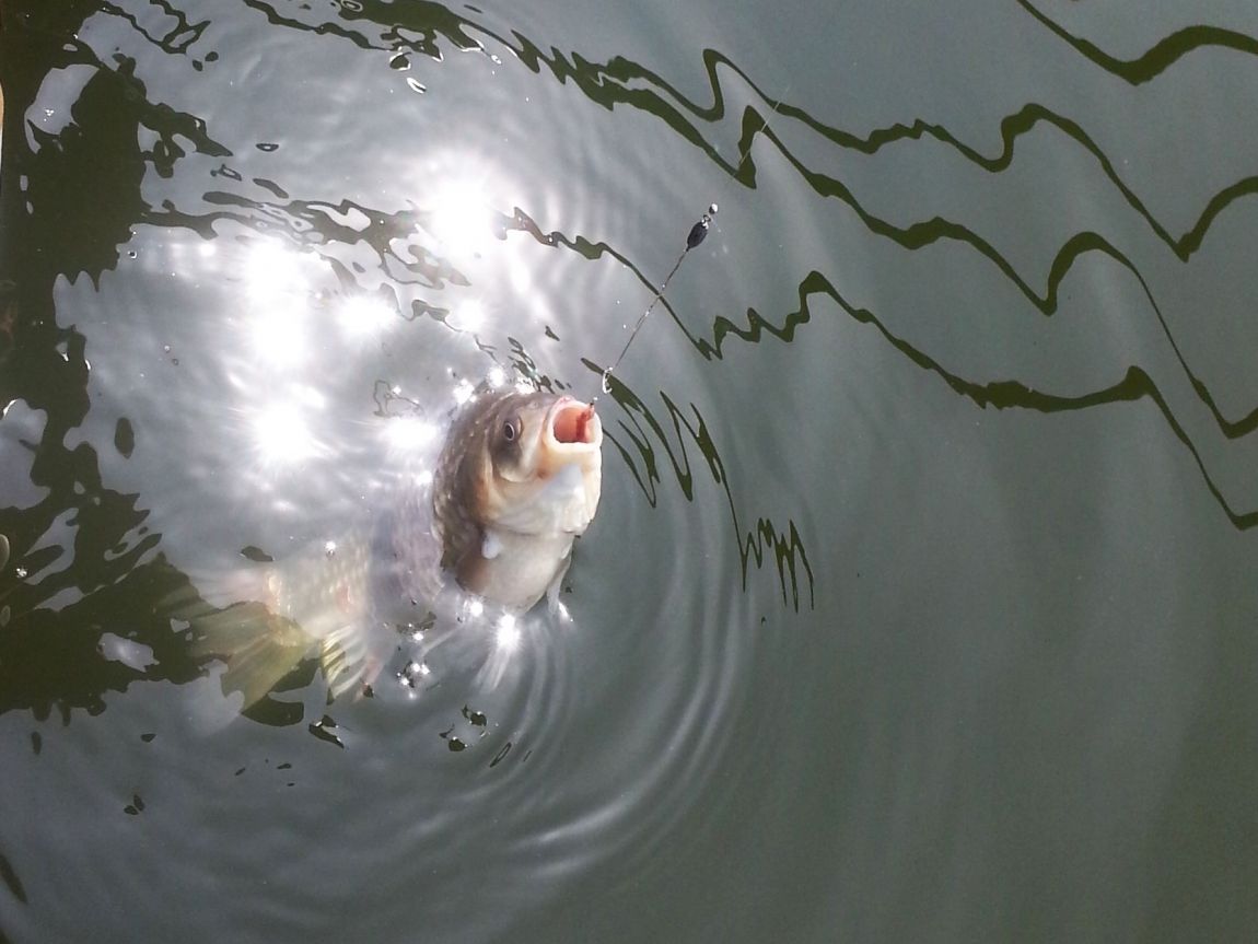 20150517_104918.jpg