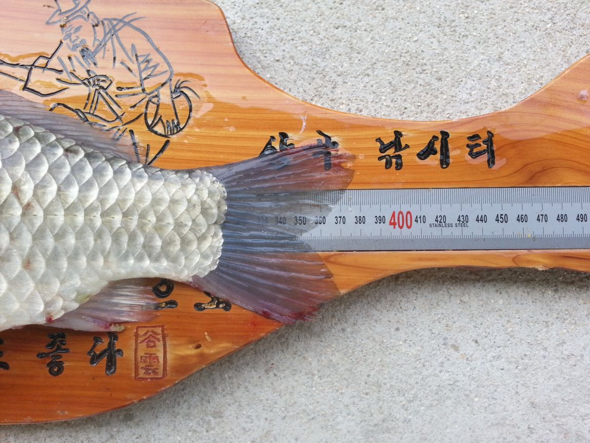 20150517_100555.jpg