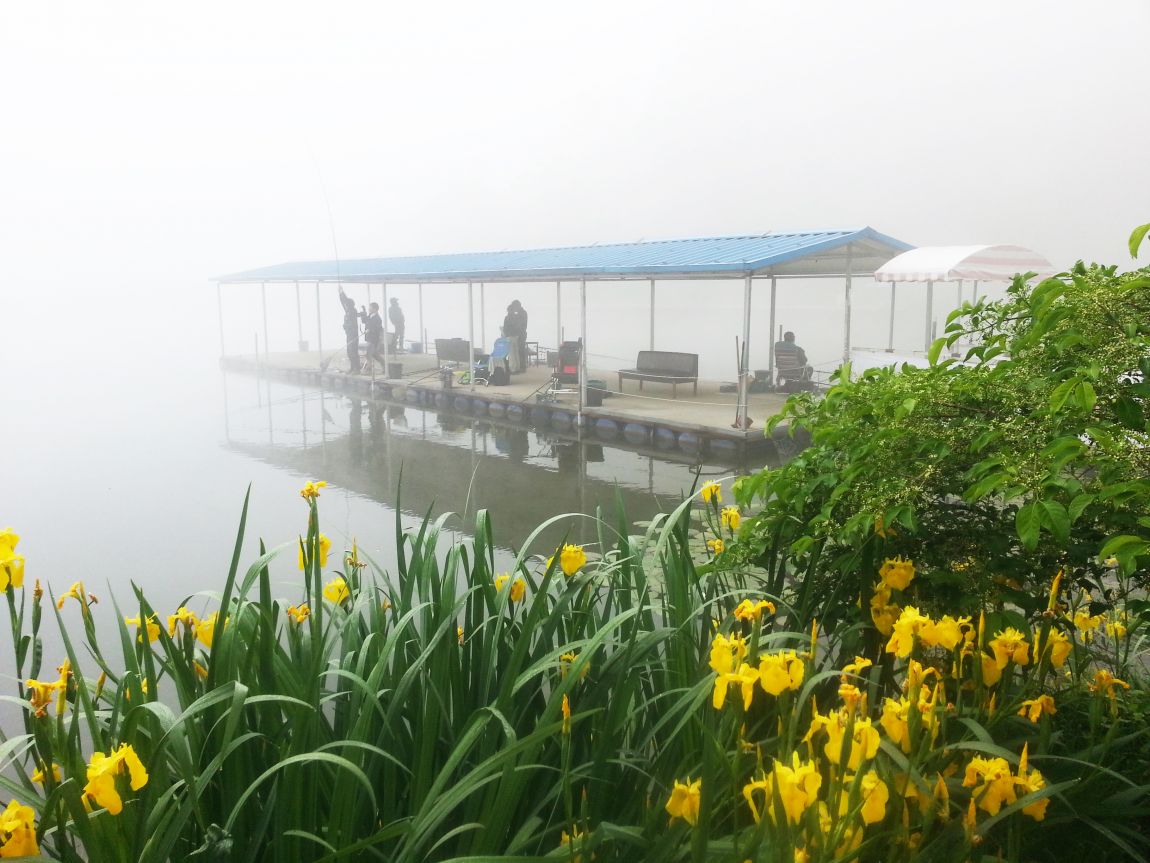 20150516_073930.jpg