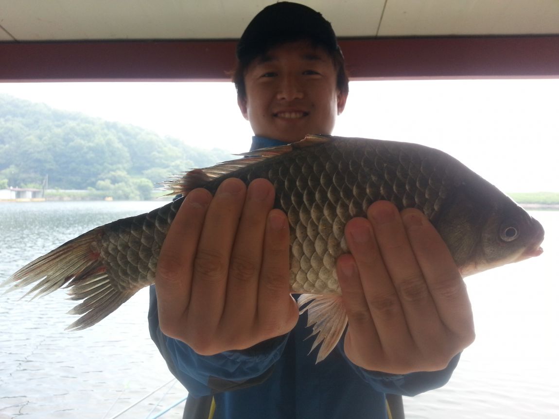 20150517_094126.jpg