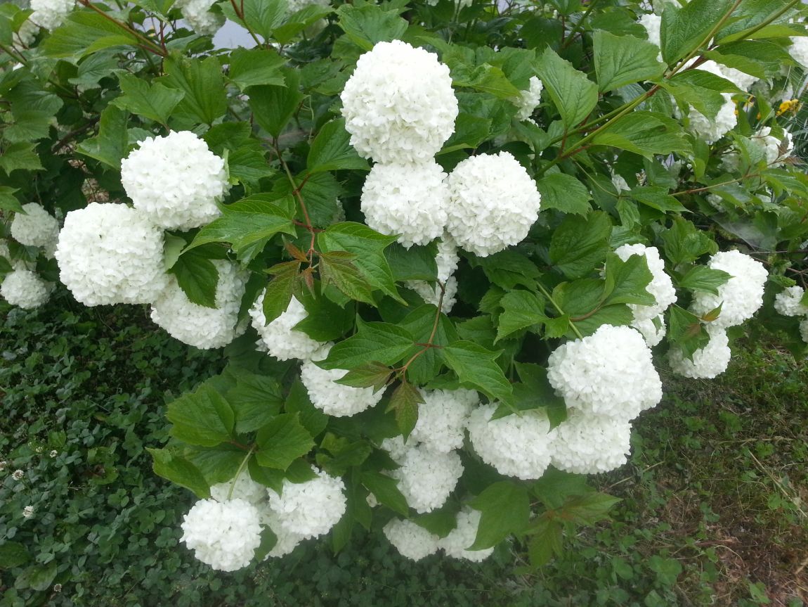 20150516_074148.jpg
