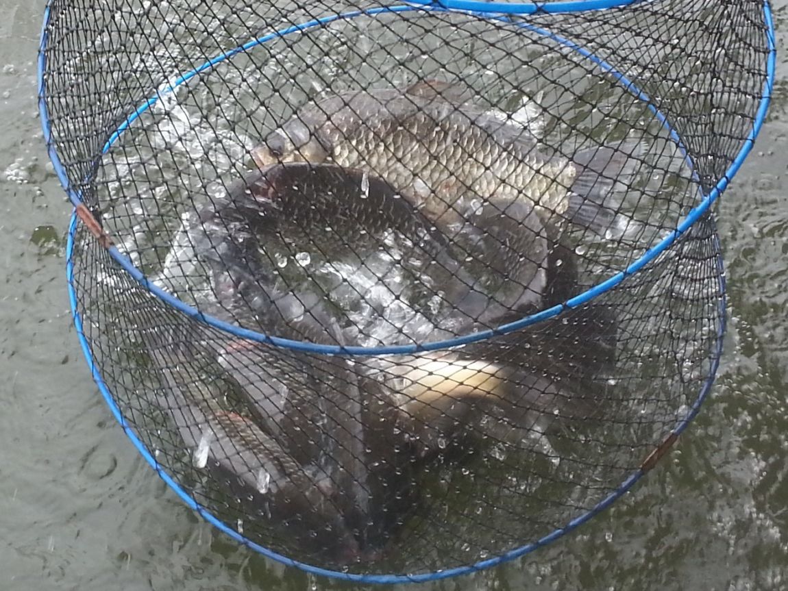 20150516_073549.jpg