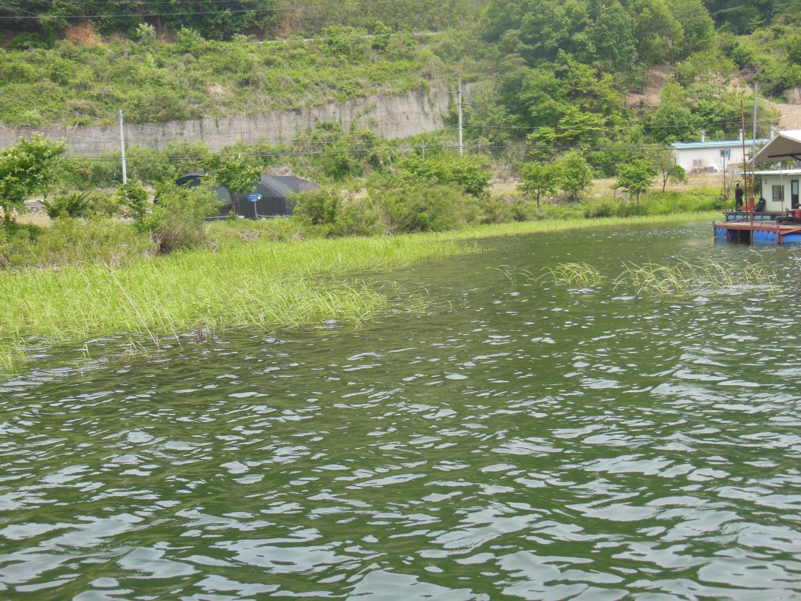 DSCN0942.JPG