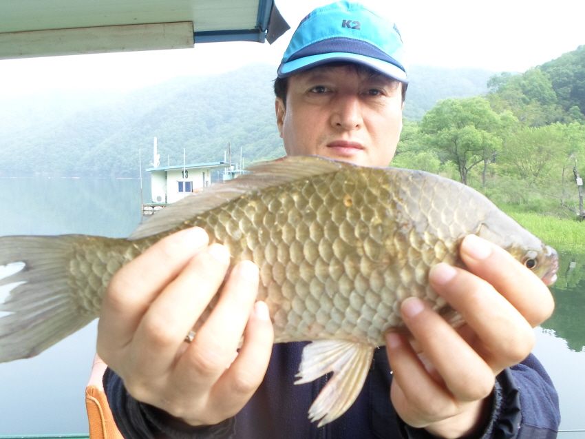 SAM_3026.JPG