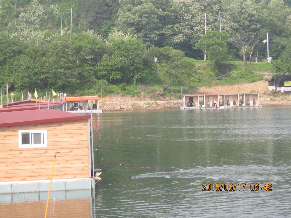 519 002.JPG