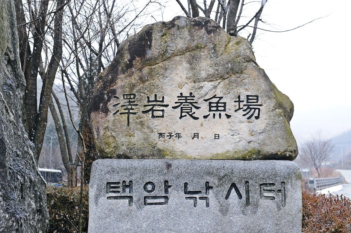 1392342650_5767.jpg
