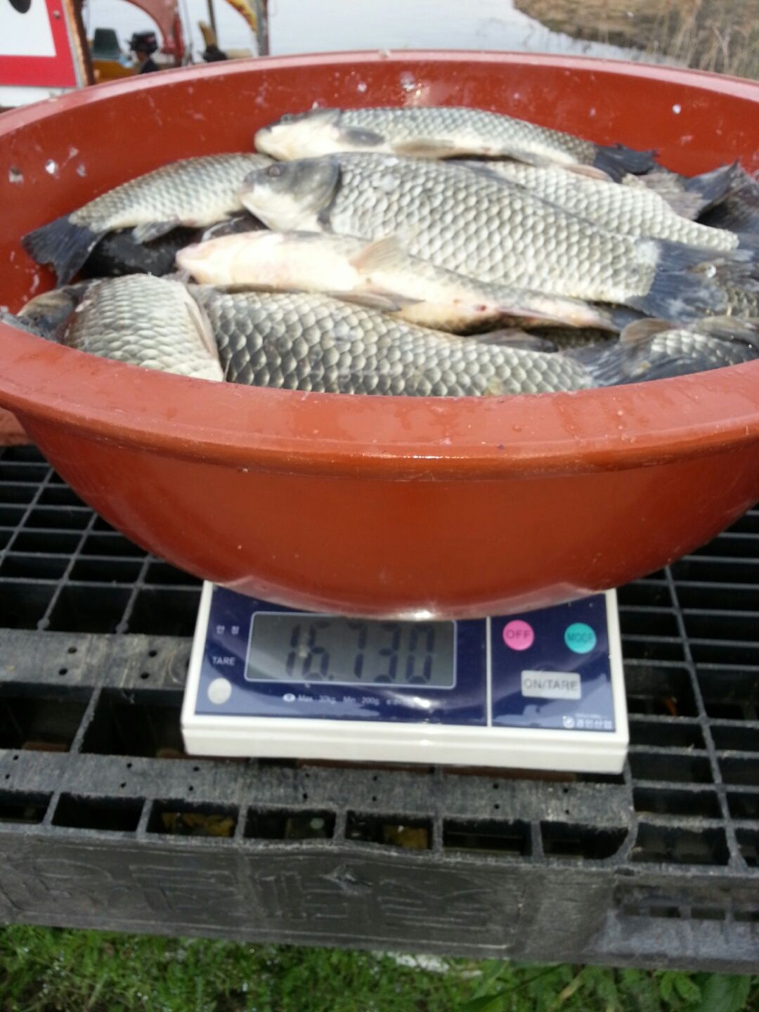 1432031008757.jpeg