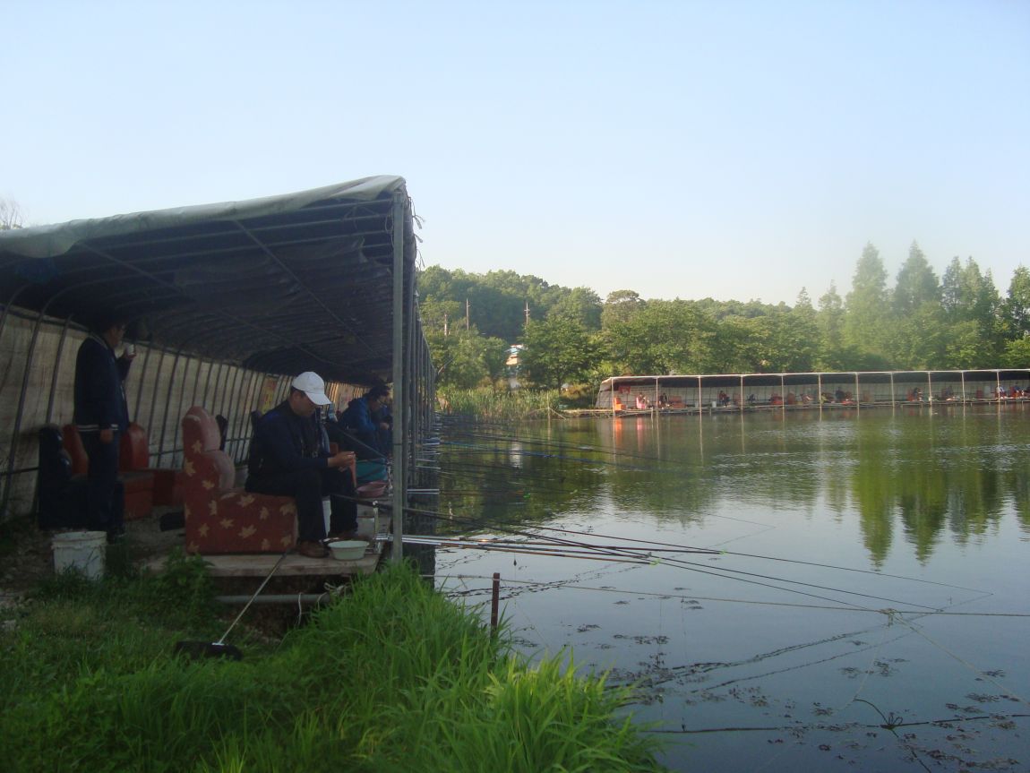 2015-5-19 006.JPG