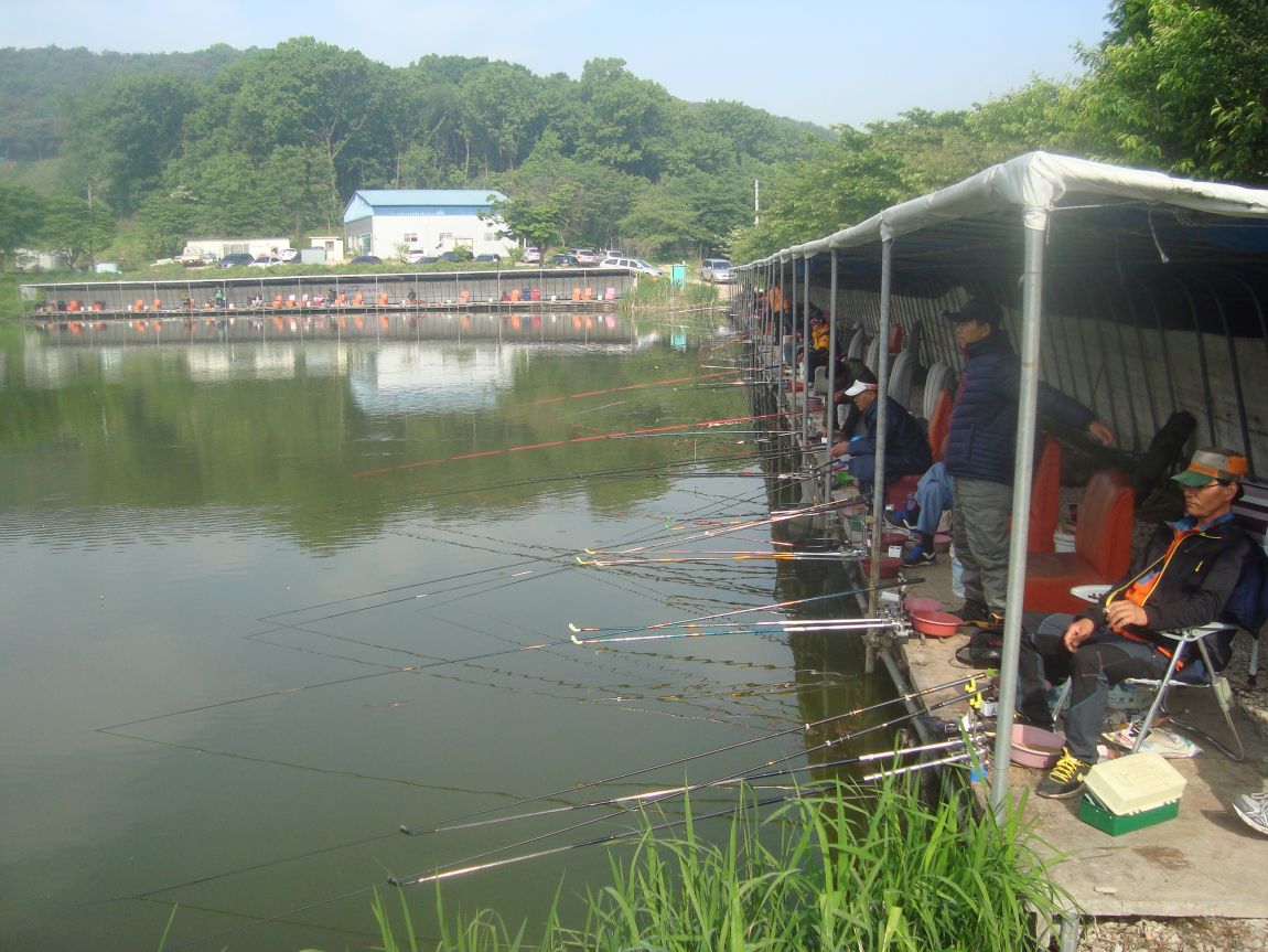2015-5-19 028.JPG