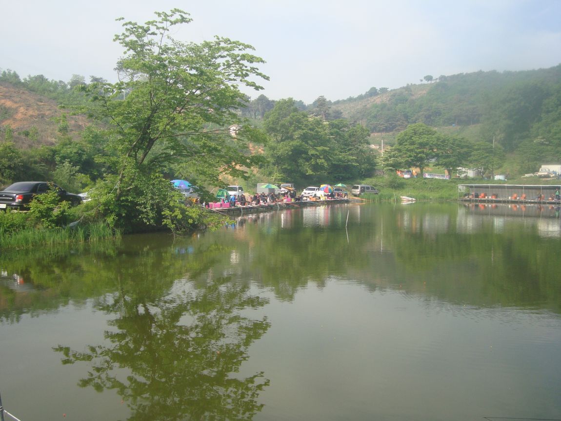 2015-5-19 029.JPG