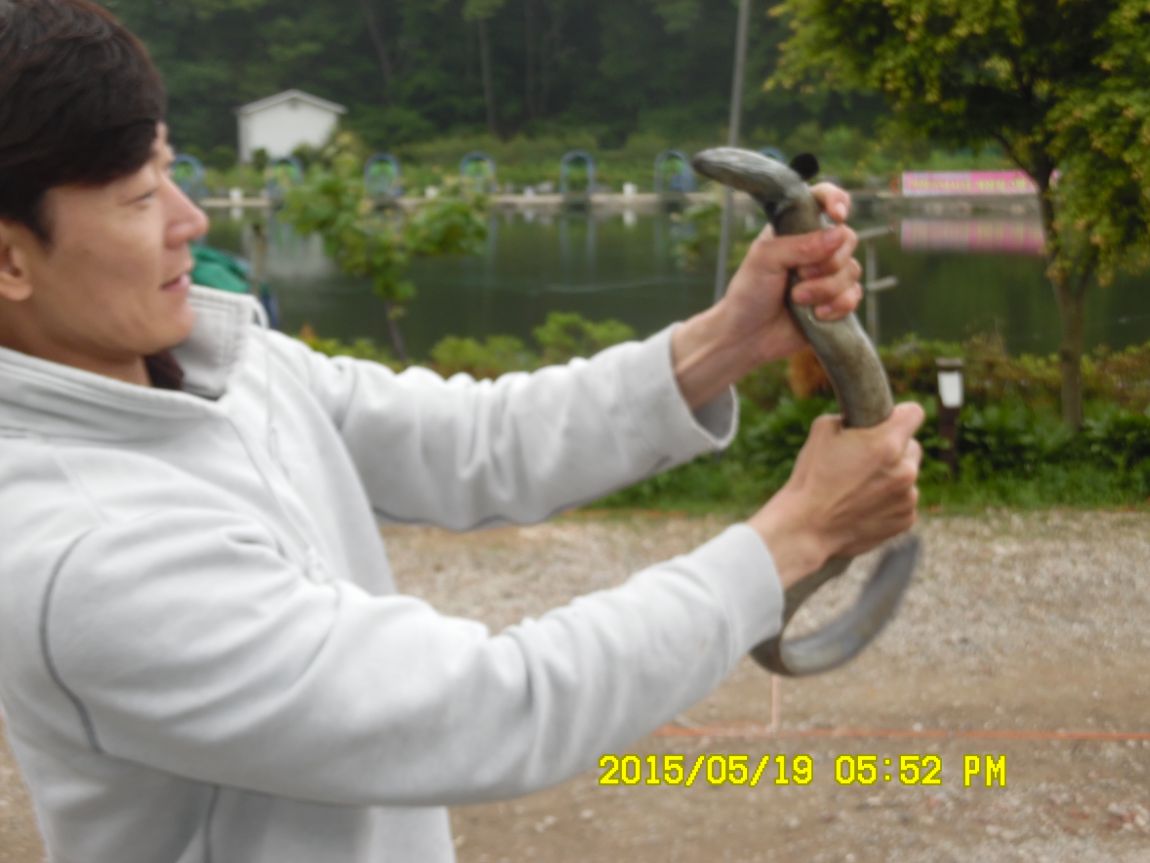 5��20�� 002.JPG