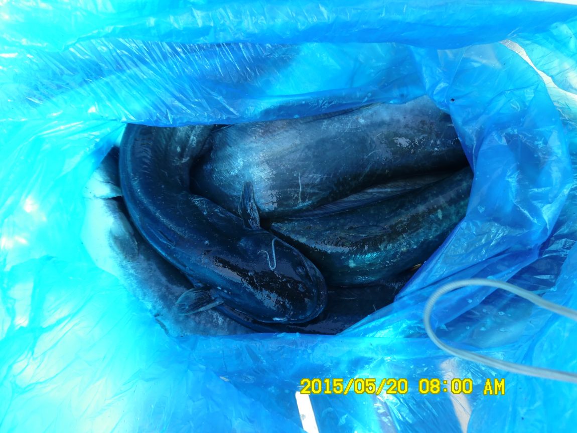 5��20�� 006.JPG