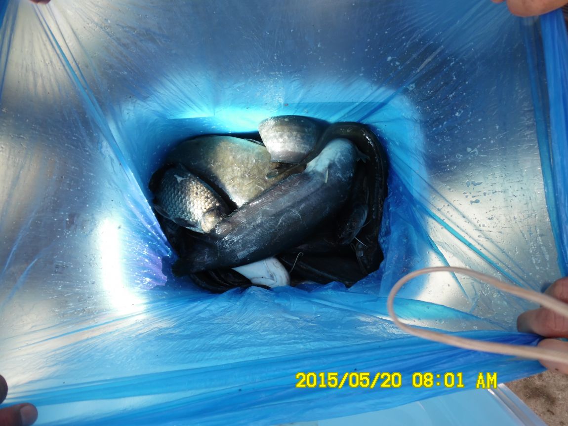 5��20�� 007.JPG