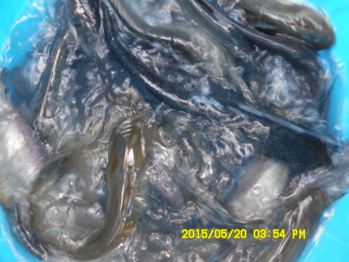 5��20�� 008.JPG