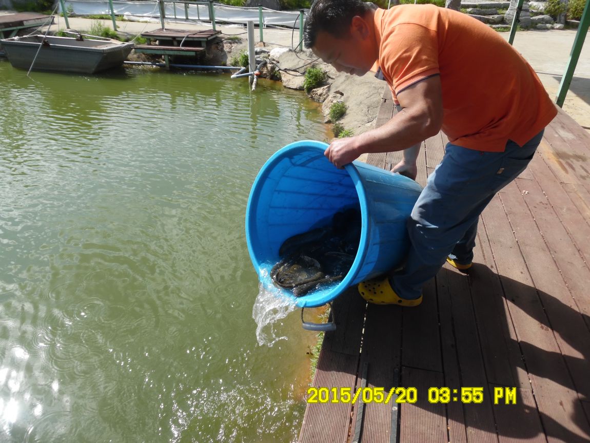 5��20�� 009.JPG