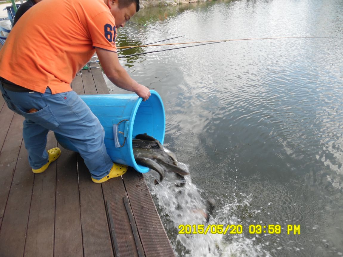 5��20�� 010.JPG