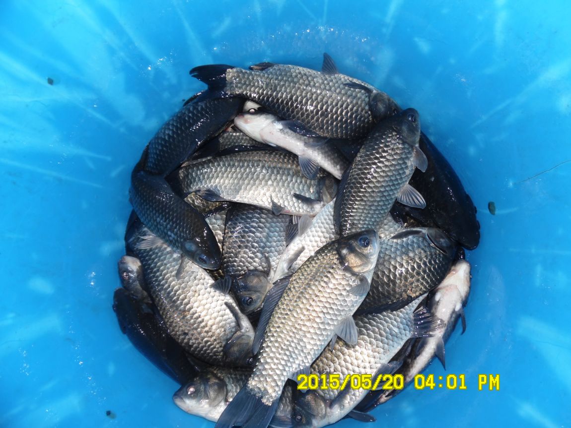 5��20�� 011.JPG