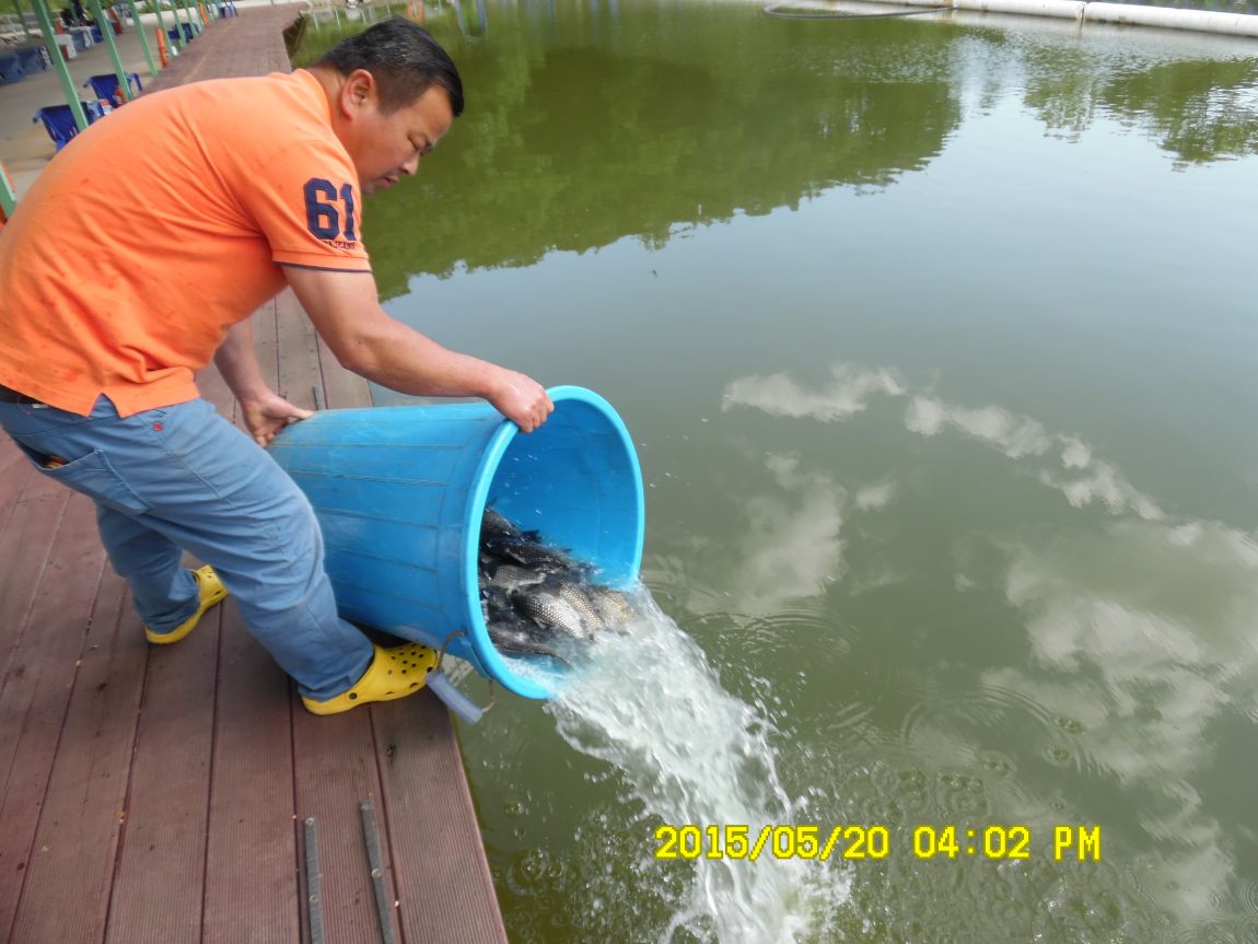 5��20�� 012.JPG