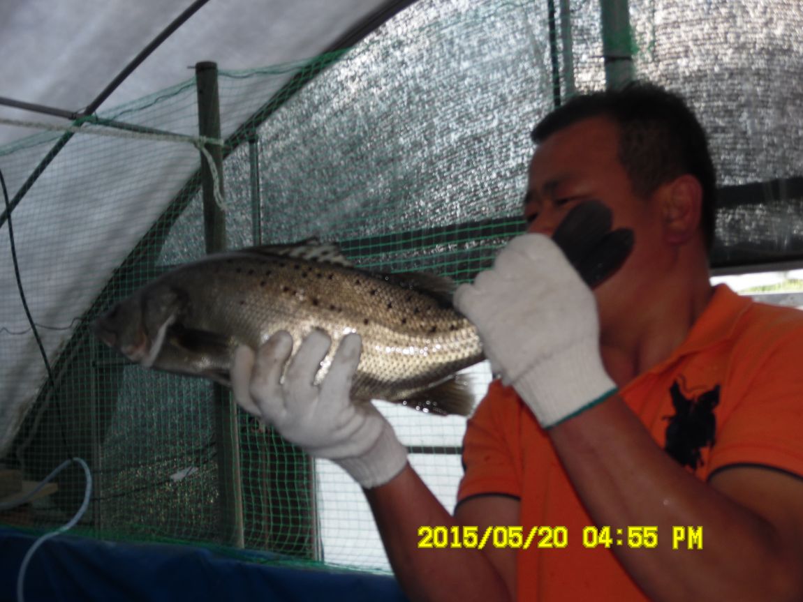 5��20�� 017.JPG