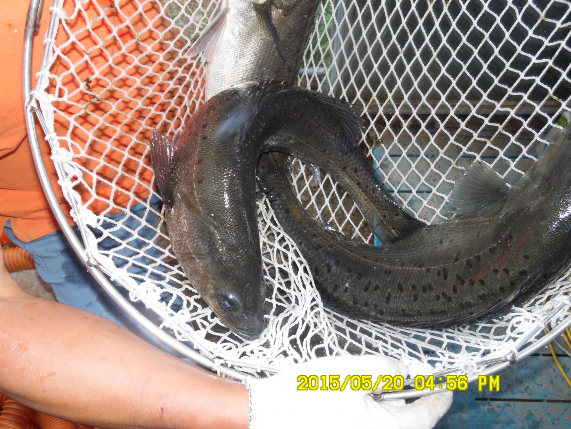 5��20�� 018.JPG