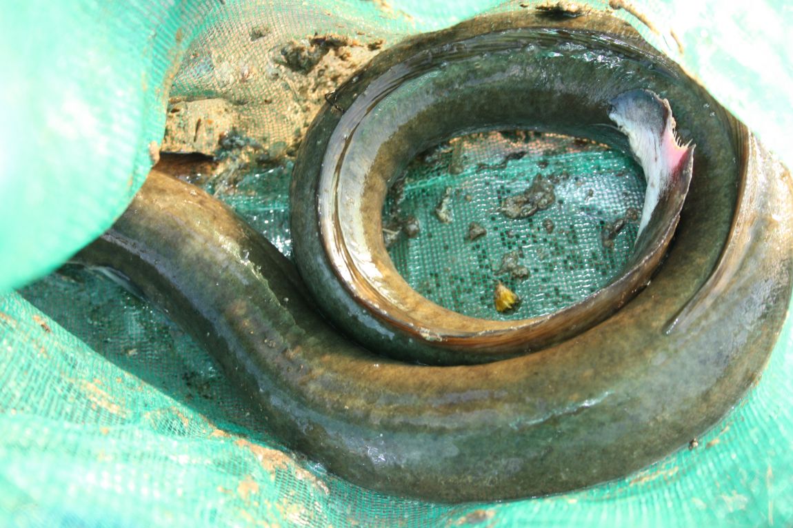 5��21�� 022.JPG