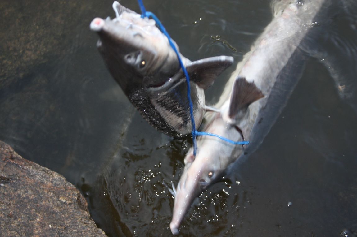 5��21�� 036.JPG