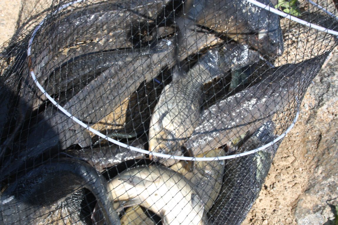 5��21�� 108.JPG