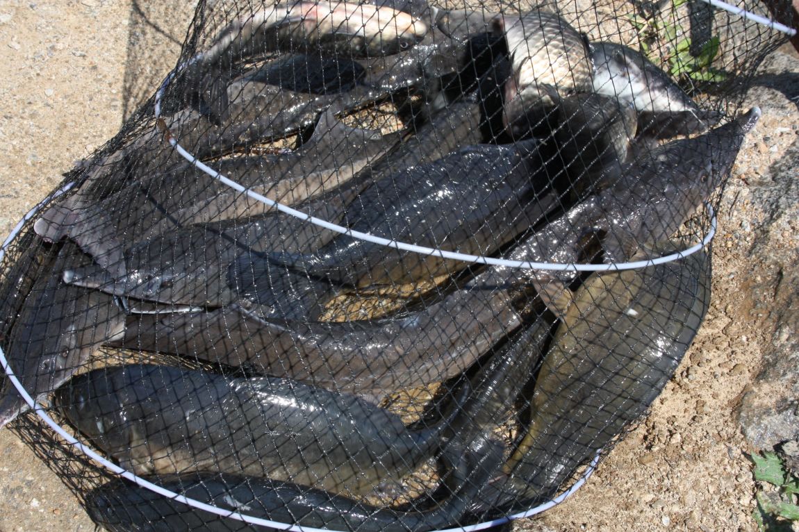 5��21�� 106.JPG