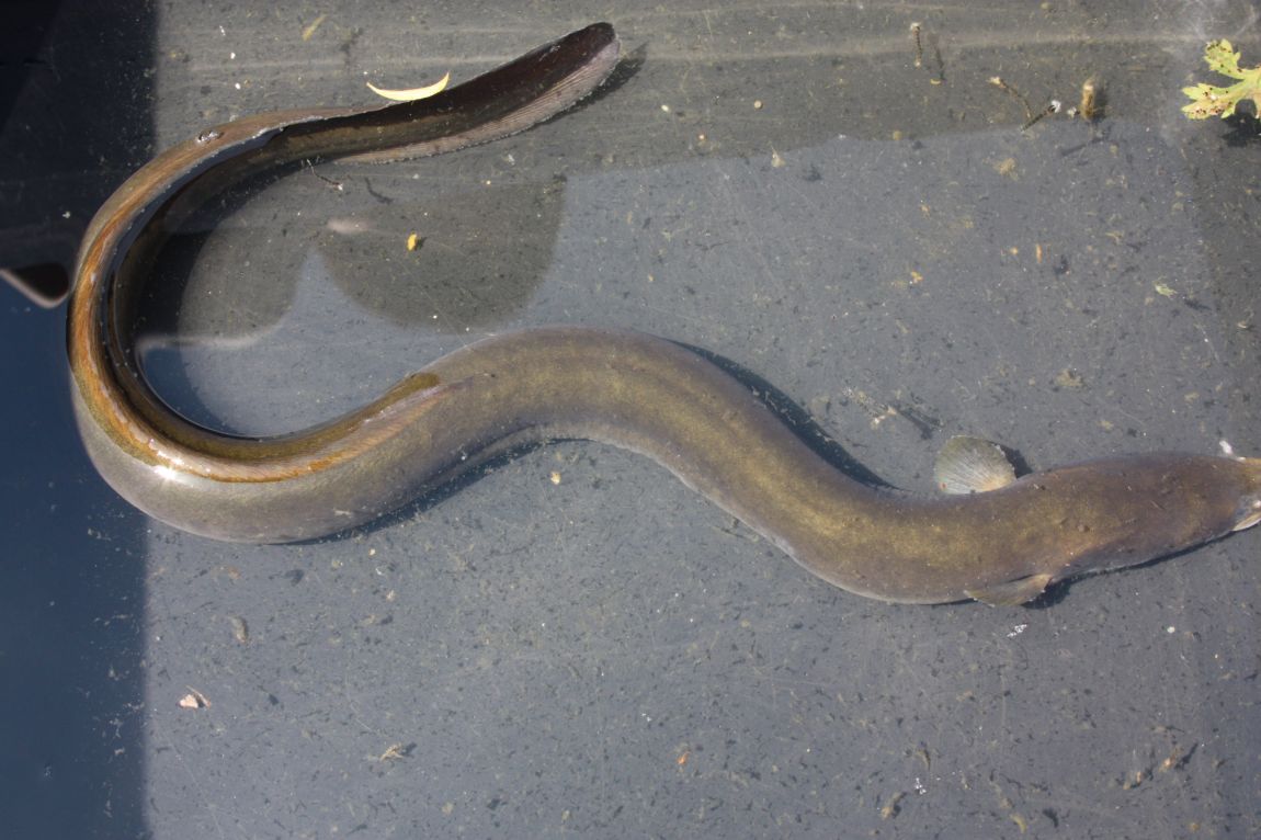 5��21�� 115.JPG