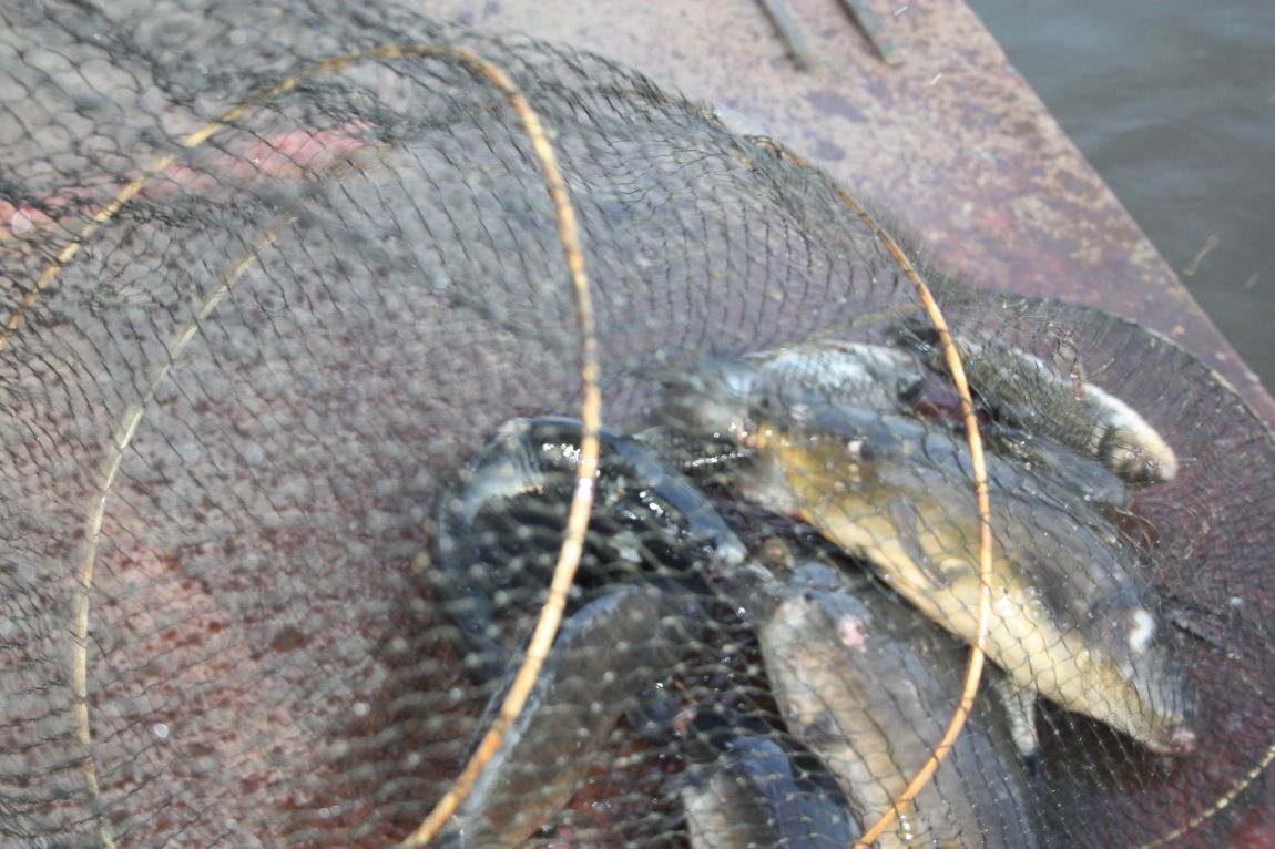 5��21�� 023.JPG