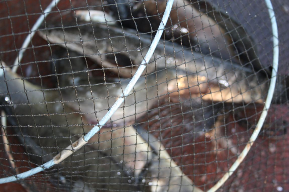 5��21�� 032.JPG