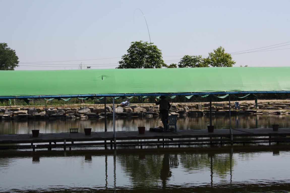 5��21�� 117.JPG