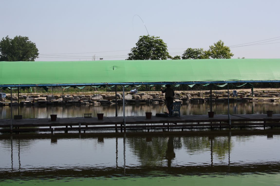 5��21�� 116.JPG