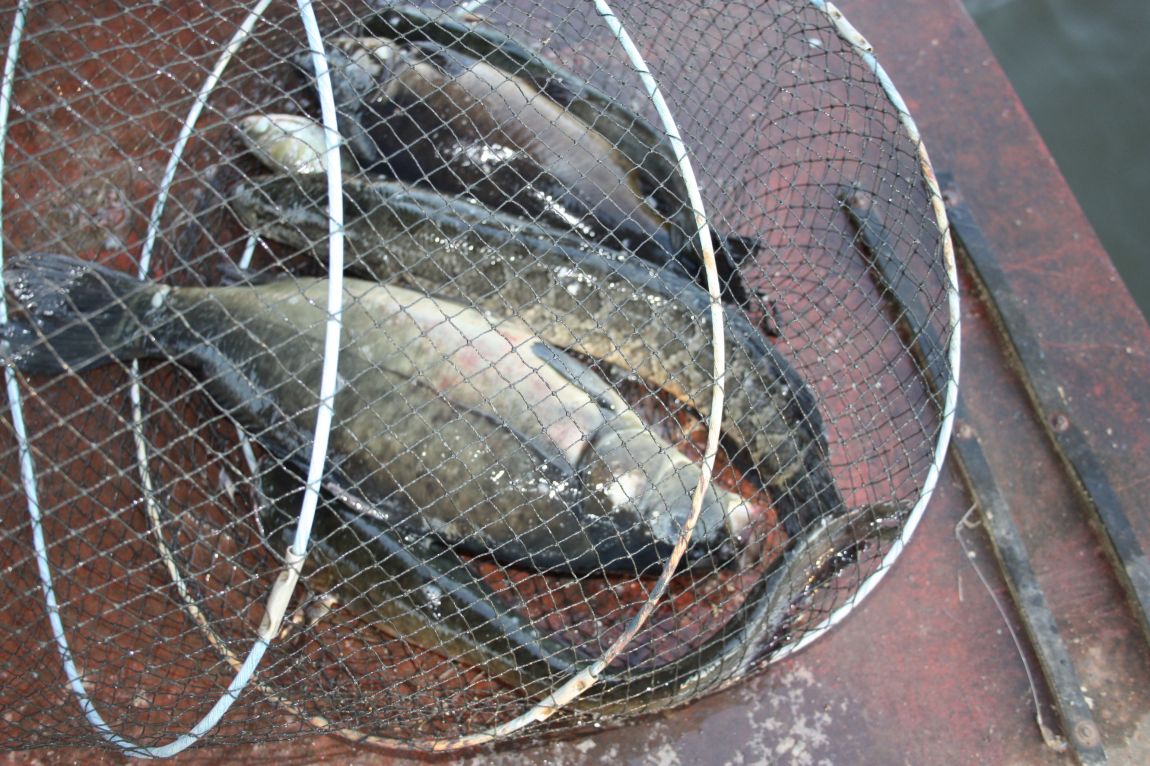 5��21�� 030.JPG