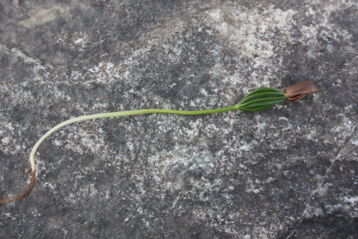 5��21�� 113.JPG