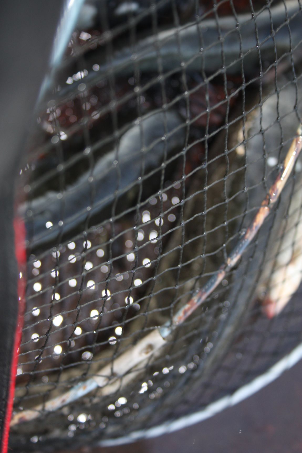 5��21�� 029.JPG