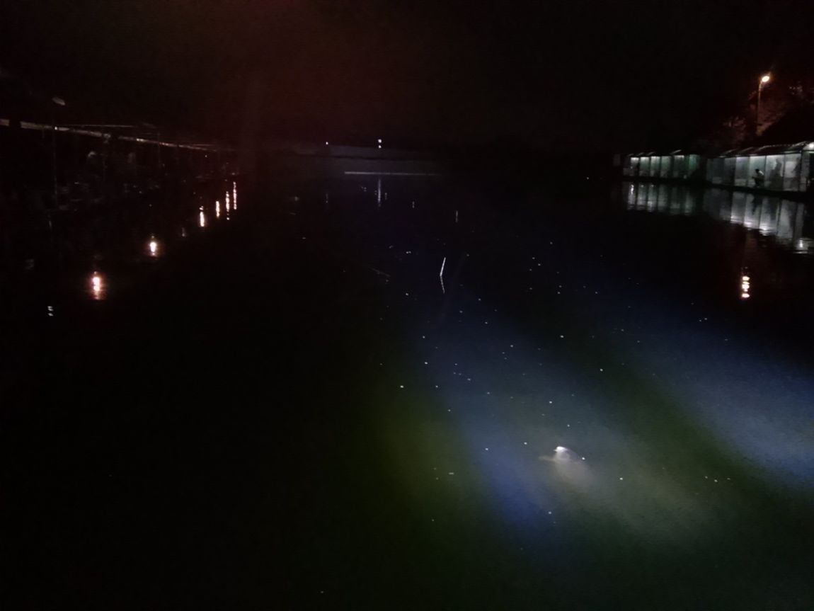 2015520Ͼ߰ 031.jpg