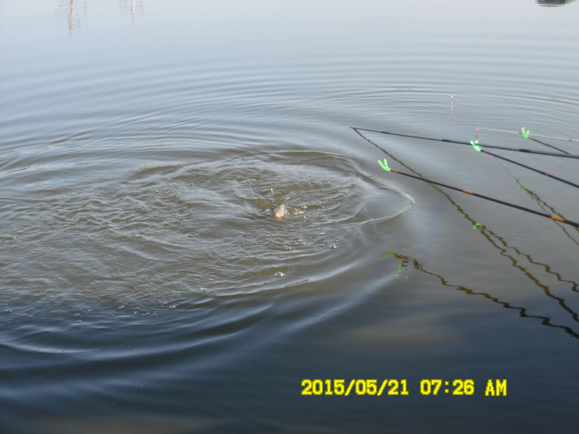 5��21�� 005.JPG