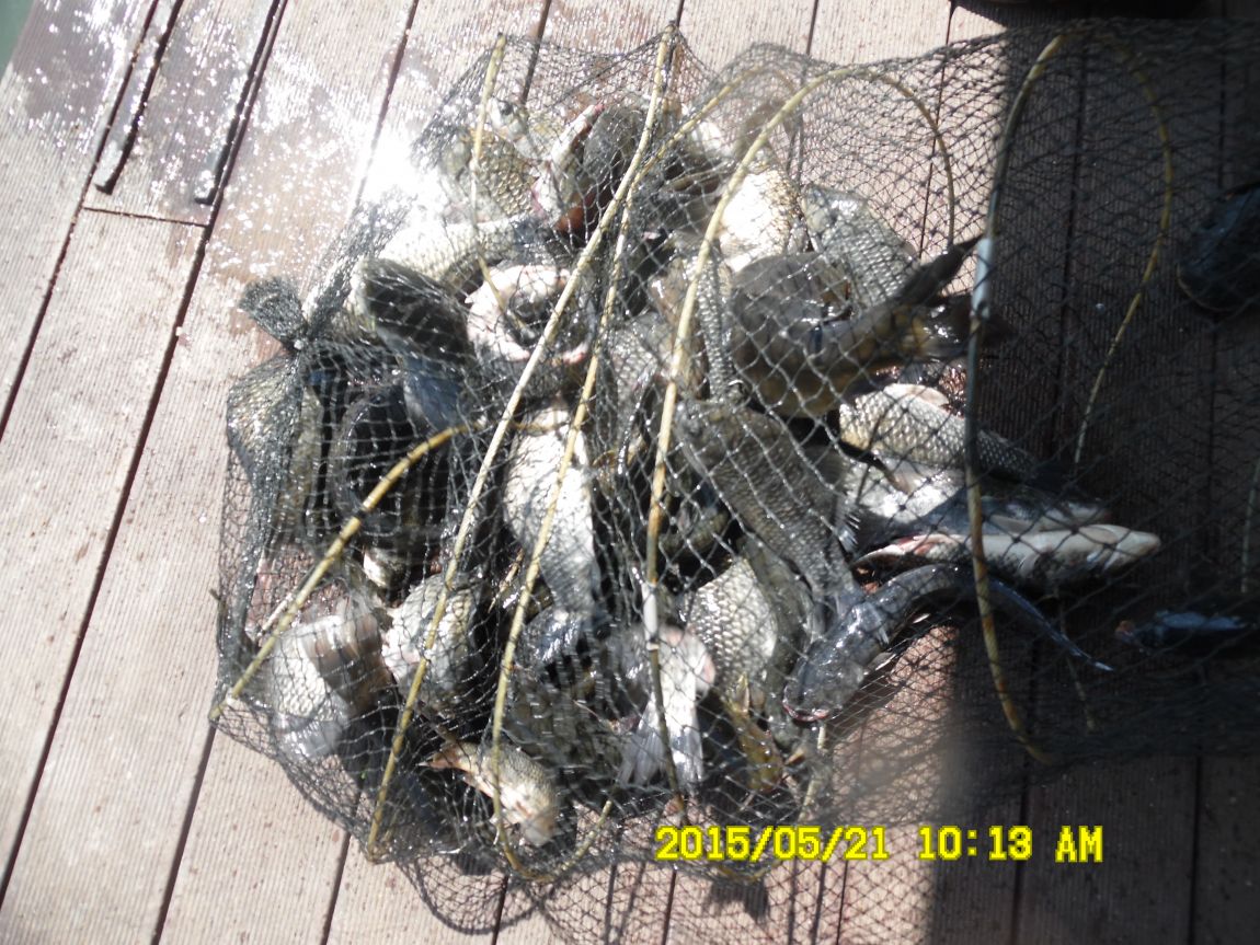 5��21�� 006.JPG