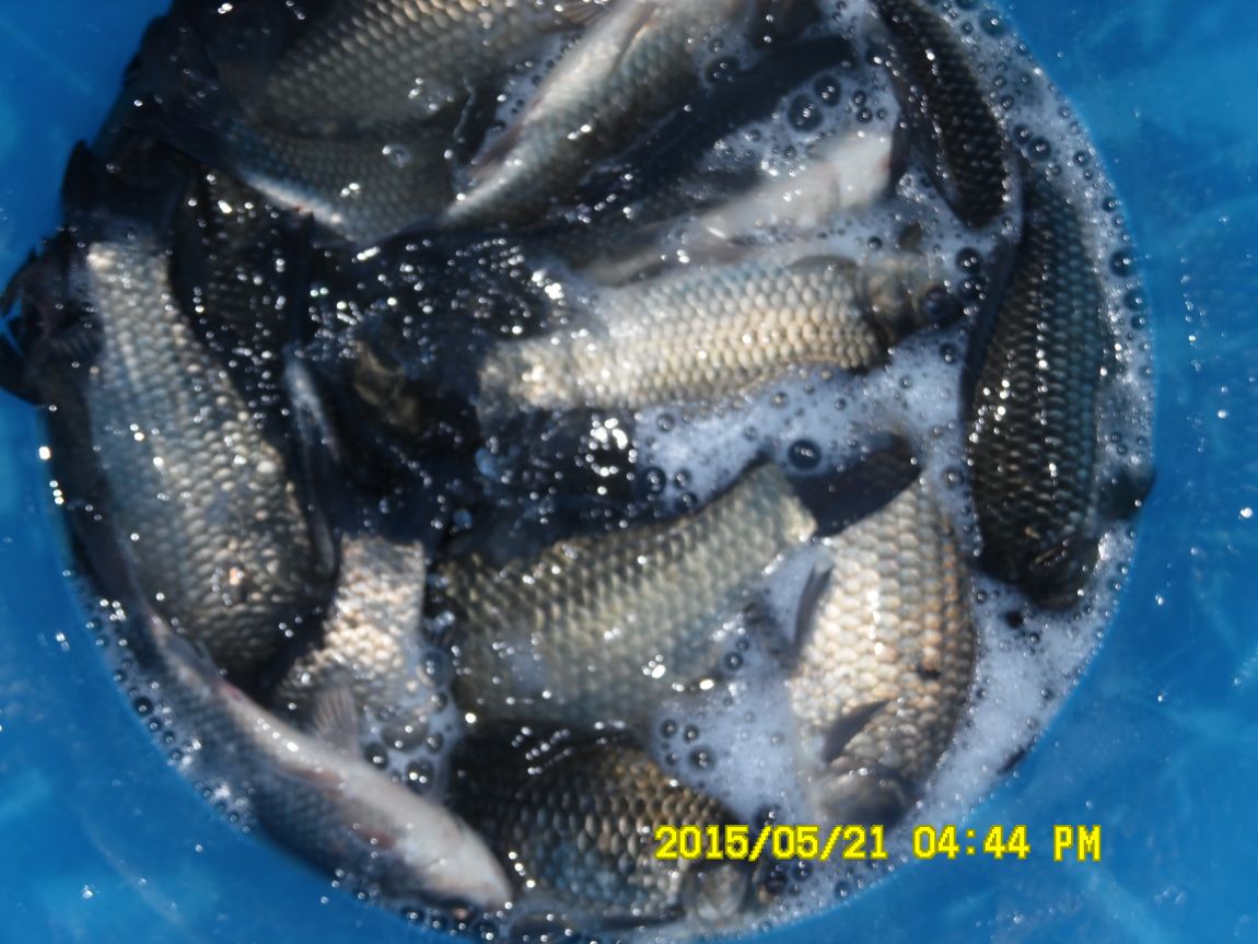 5��21�� 010.JPG