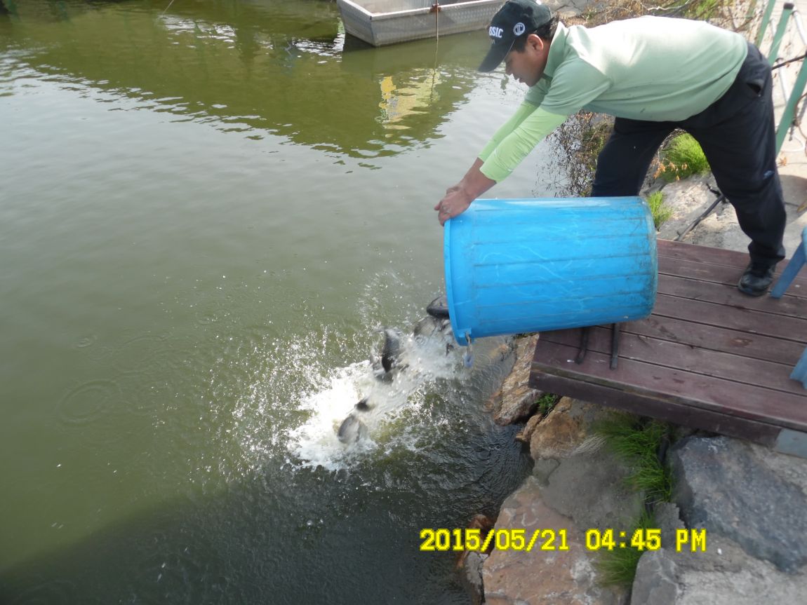 5��21�� 011.JPG