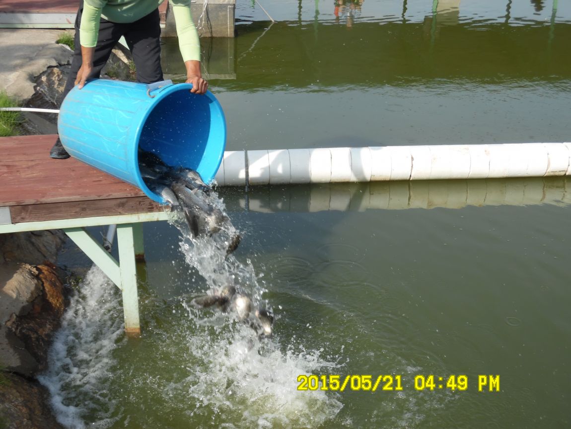 5��21�� 012.JPG