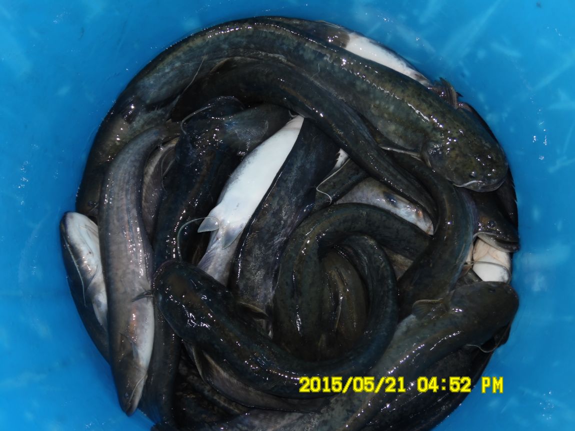 5��21�� 014.JPG