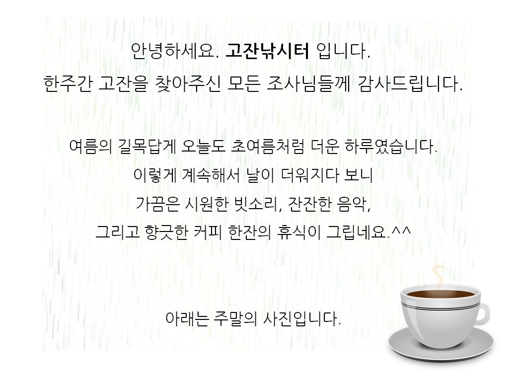 고잔낚시터 유료낚시터 > 저수지, 양어장 주말 사진 : 낚시사랑
