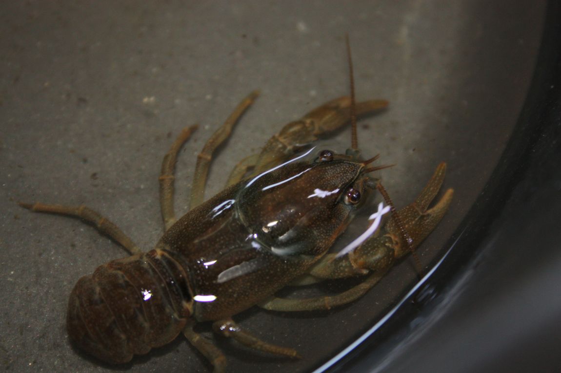 5��21�� 073.JPG