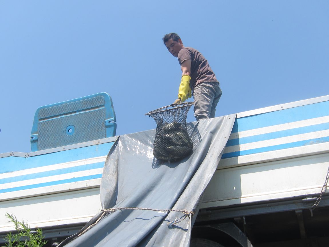 5�� 23�� 002.JPG