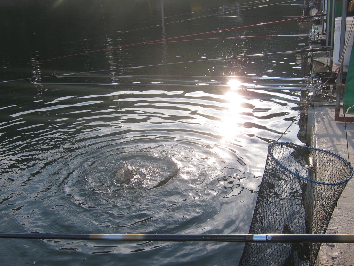 5�� 23�� 025.JPG