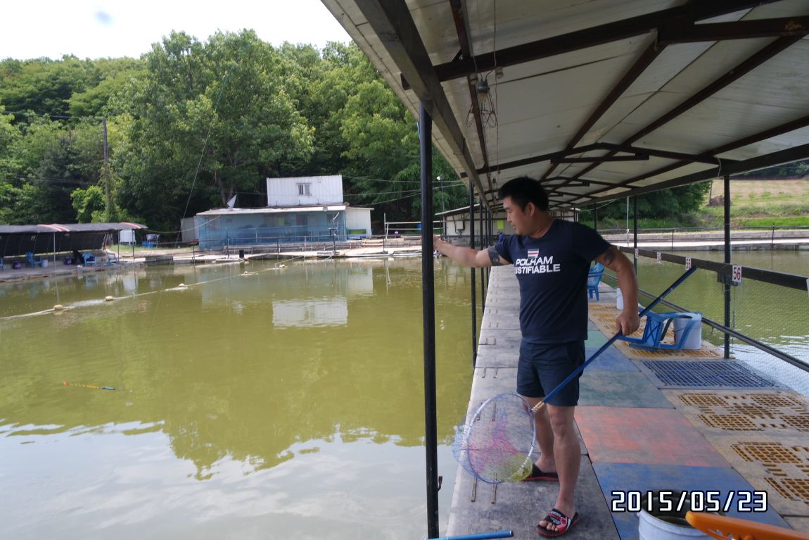 SAM_1153.JPG