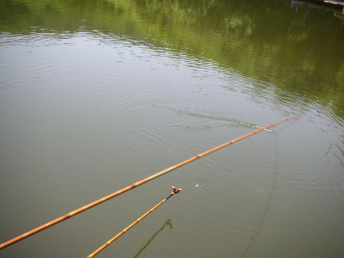 DSCN3810.JPG