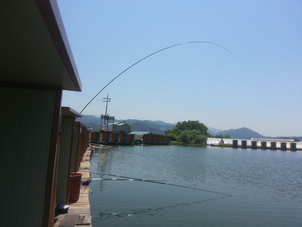 20150524_120447.jpg